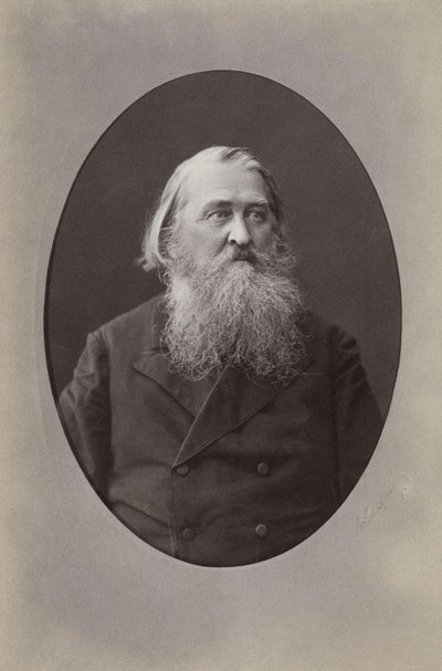 Portrait du poète Aleksey Nikolayevich Pleshcheyev 1825-1893, 1870 - Sergei Lvovich Levitsky
