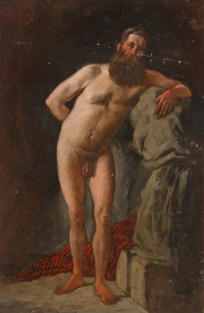 Nu barbu - Severin Falkman