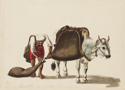 Porteur d