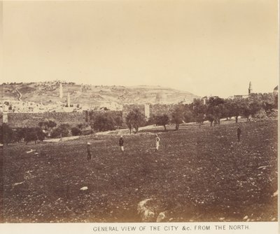 Vue générale de la ville, etc. du nord - Sgt. James M. McDonald