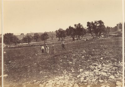 Vue générale de la ville, etc. du nord - Sgt. James M. McDonald