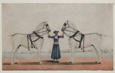 Un syce (palefrenier) tenant deux chevaux de carrosse, vers 1845 - Shaik Muhammad Amir of Karraya (attr. to)