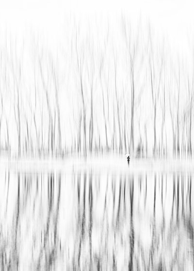 Silhouette solitaire : reflets hivernaux - Shanrui Ren