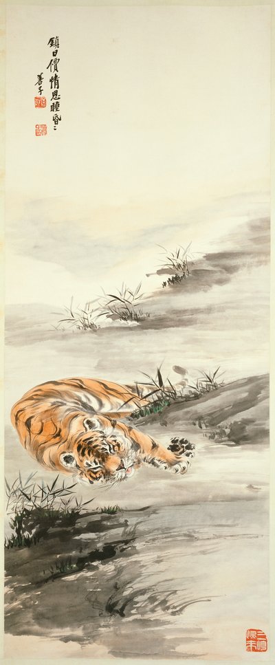 Tigre - Shanzi Zhang
