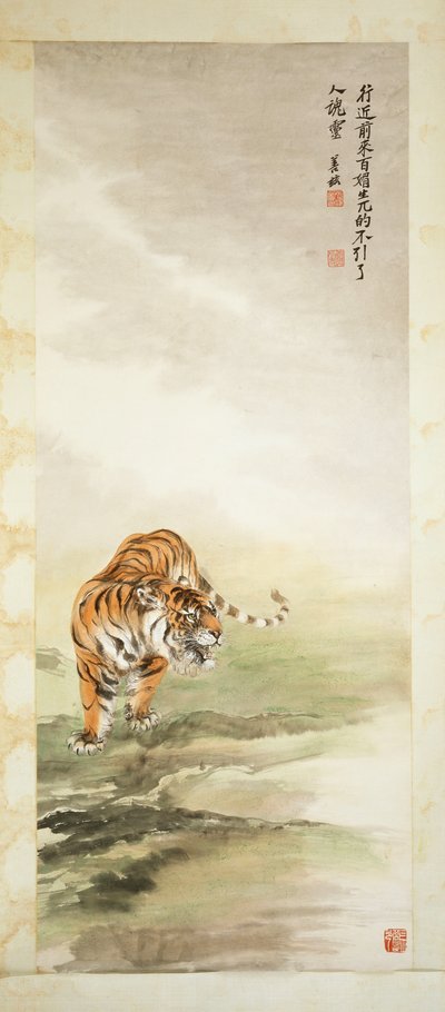 Tigre - Shanzi Zhang