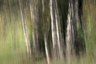  - Sheila Bernard