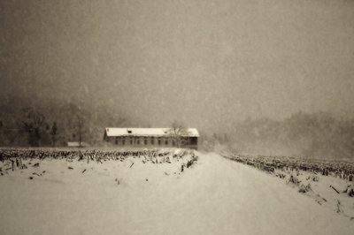  - Sheila Bernard