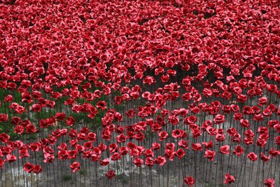 Blood Swept Lands and Seas of Red, Tour de Londres, 2014 - Sheldon Marshall