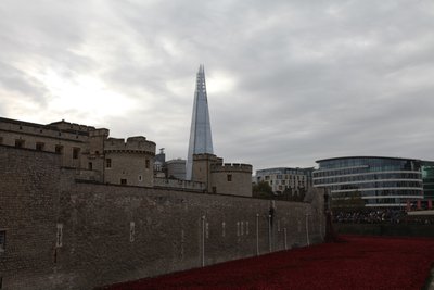 Blood Swept Lands and Seas of Red, Tour de Londres, 2014 - Sheldon Marshall