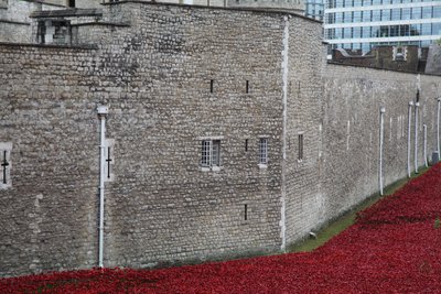 Terres et mers de sang balayées par le vent, Tour de Londres, 2014 - Sheldon Marshall