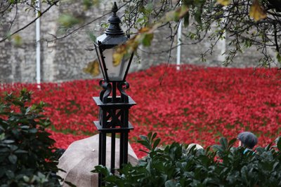 Terres et mers de sang balayées par le vent, Tour de Londres - Sheldon Marshall