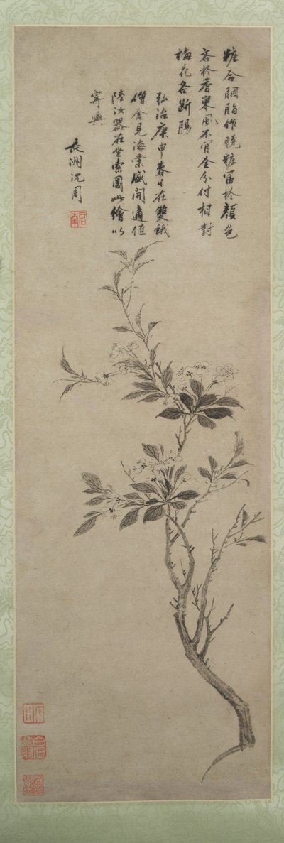Pommier en fleurs, 1500 - Shen Zhou