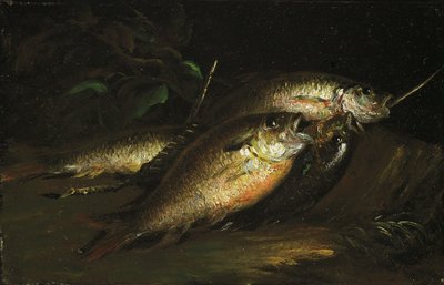 Poisson - Shepard Alonzo Mount