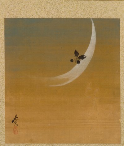 Croissant de lune de l