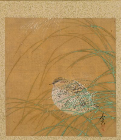 Feuille de l