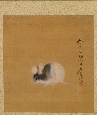 Souris de l