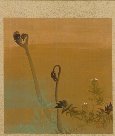 Nouvelles fougères - Shibata Zeshin
