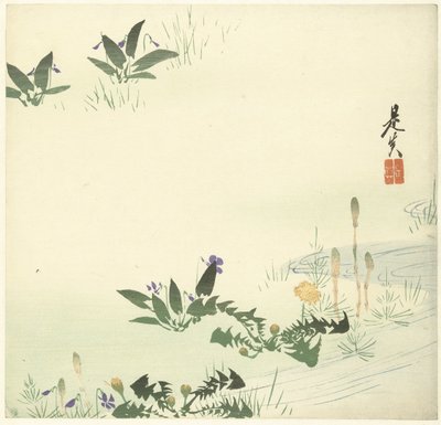 Fleurs de printemps près d
