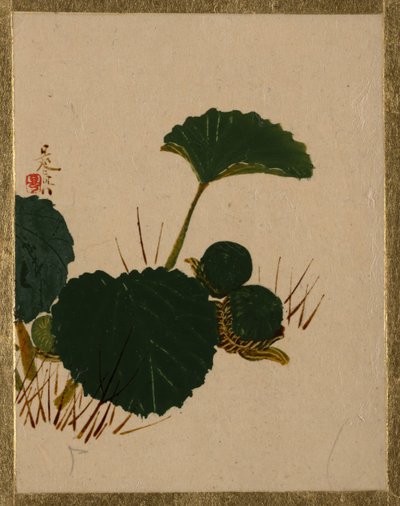 Ver sur plante à feuilles vertes - Shibata Zeshin