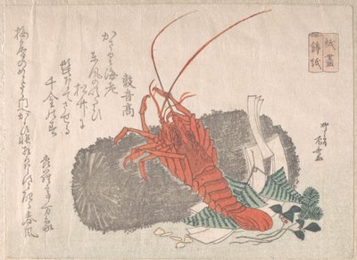 Homard sur un morceau de charbon avec d