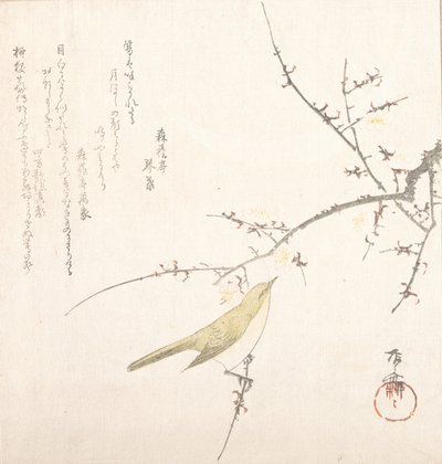 Nouvelle Lune, rossignol sur une branche de prunier, 19e siècle - Shinsai
