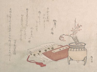 Prunier en pot en fleurs et livres - Shinsai