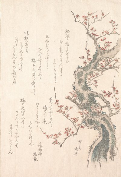 Collection de pluie de printemps Harusame shu, vol. 1 : Prunier en fleur, vers 1805-10 - Shinsai