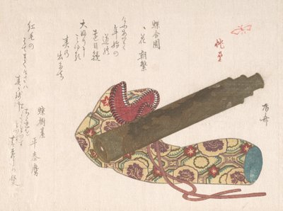 Télescope avec son sac - Shinsai