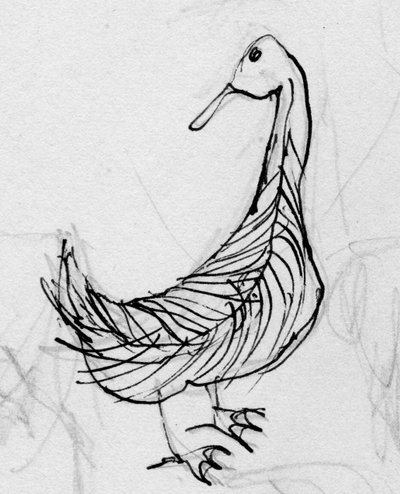 Oiseau, vers 1950 - Shirley Markham