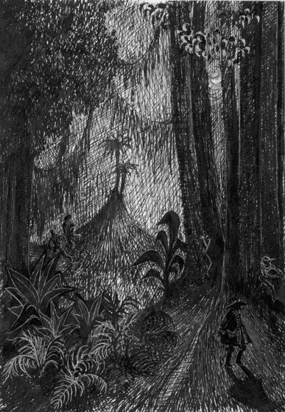 Pirate dans la Forêt Tropicale - Shirley Markham