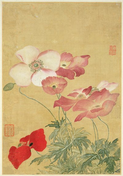 Image de l