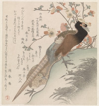 Faisans devant une branche de fleurs (Sept images d