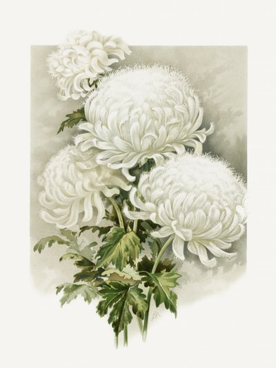 Mme Alpheus Hardy - Sidney Thomas Callowhill