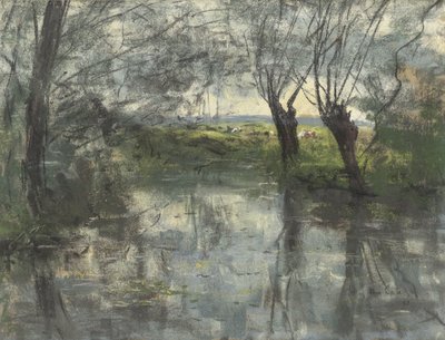 Bosvijver - Siebe Johannes ten Cate