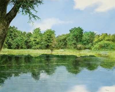 Miroir teinté - Silvian Sternhagel