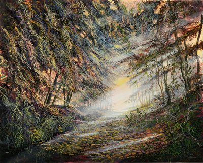 Barrières de Lumière - Silvian Sternhagel