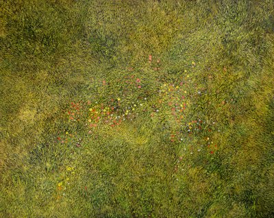 Vol de prairie - Silvian Sternhagel