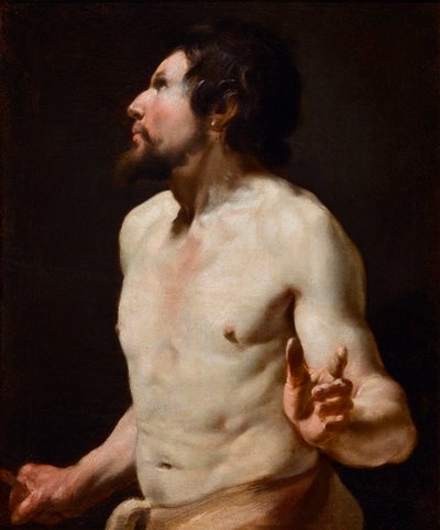 Étude de torse de l