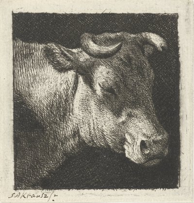 Tête de vache vers la droite - Simon Andreas Krausz