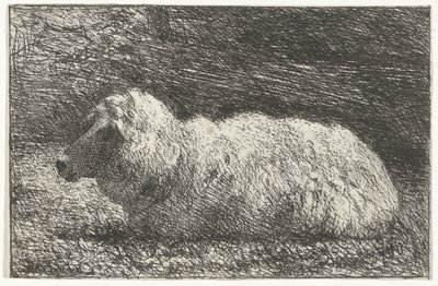 Mouton couché - Simon Andreas Krausz