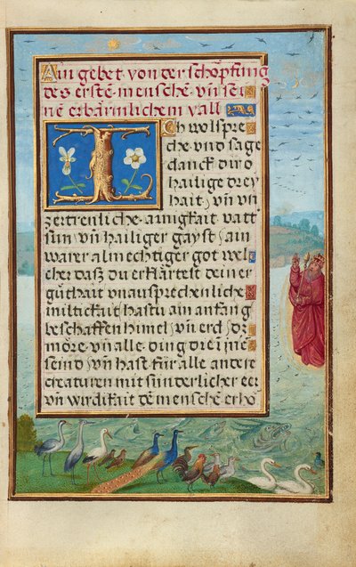 Bordüre mit der Erschaffung von Vögeln und Fischen - Simon Bening