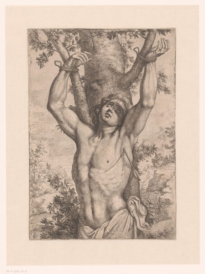 Saint Sébastien attaché à un arbre - Simon Francois