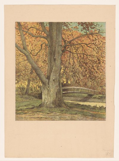 Arbre près d