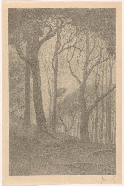 Arbres - Simon Moulijn (signed by artist)