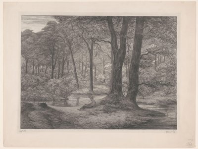 Forêt avec étang et homme allongé - Simon Moulijn (signed by artist)