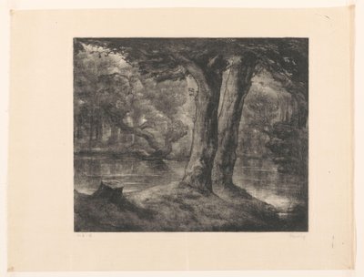 Eau dans une forêt - Simon Moulijn (signed by artist)