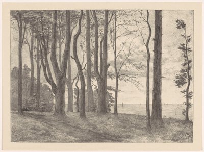 Arbres au bord de l
