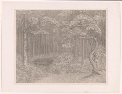 Paysage forestier - Simon Moulijn