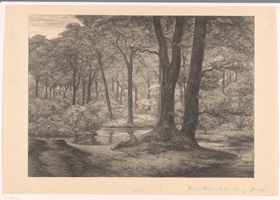 Vue sur le Hunnenschans sur la Veluwe (De hunnenschans) - Simon Moulijn