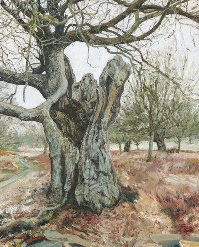 Vieil arbre, Richmond Park, 2018 (huile sur lin) - Simon Neville